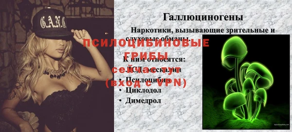 jwh Верея