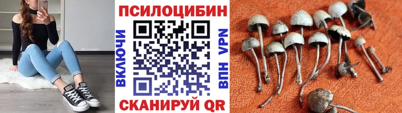 Галлюциногенные грибы MAGIC MUSHROOMS  Купить где  Бородино 